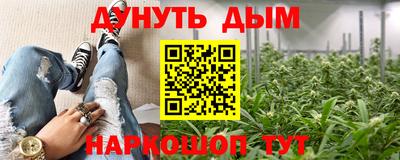 jwh Шебекино