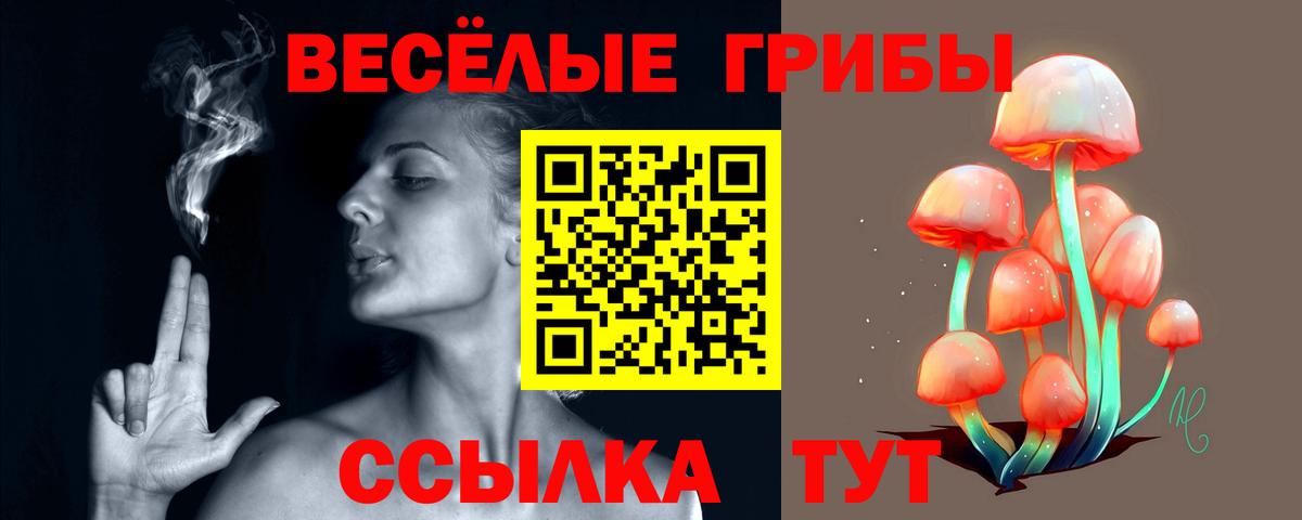 Боровичи  Псилоцибиновые грибы Psilocybe  Галлюциногенные грибы Psilocybe  Вход с VPN 